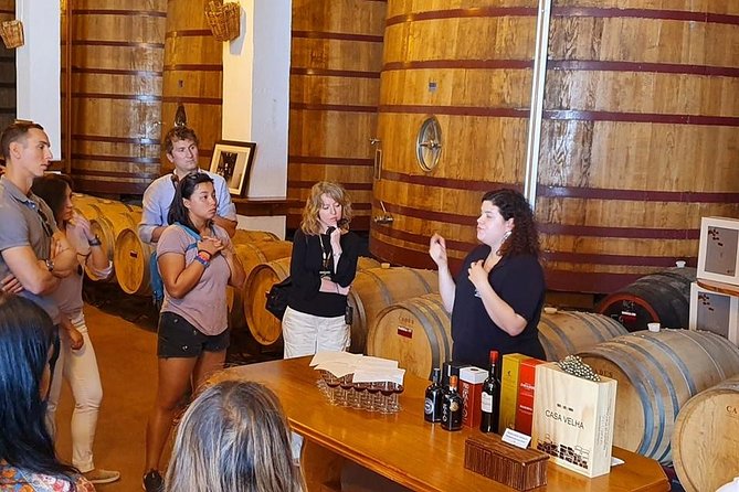 Complete Douro Valley Wine Tour with Lunch, Wine Tastings and River Cruise - Who will enjoy this Douro day most?