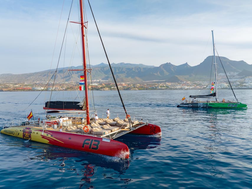 Costa Adeje: Masca and Los Gigantes Whale Watching Cruise - Key points to know before booking