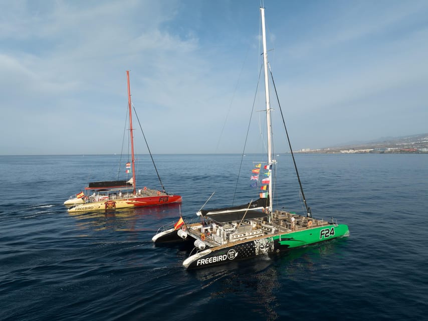 Costa Adeje: Masca and Los Gigantes Whale Watching Cruise - Why this coast makes a good whale-watching base