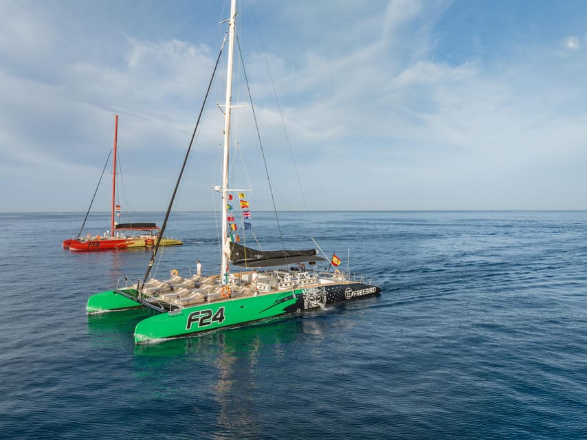 Costa Adeje: Masca and Los Gigantes Whale Watching Cruise - Watching pilot whales and dolphins in the channel