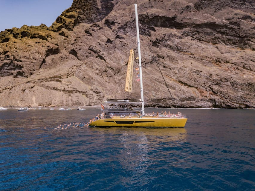 Costa Adeje: Masca and Los Gigantes Whale Watching Cruise - How the $71 price compares