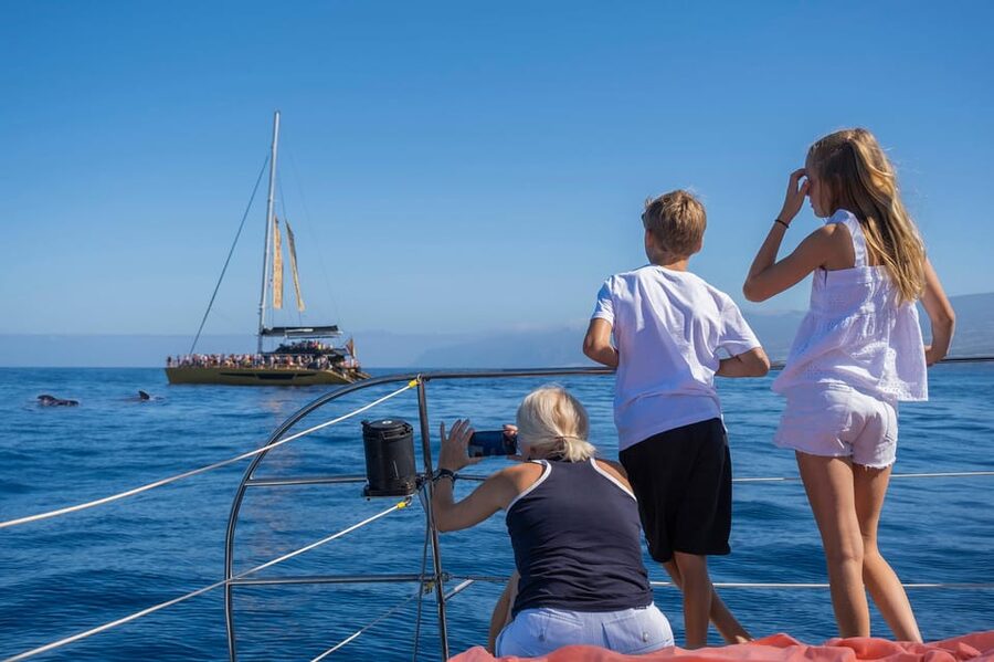 Costa Adeje: Masca and Los Gigantes Whale Watching Cruise - Who will enjoy this cruise most