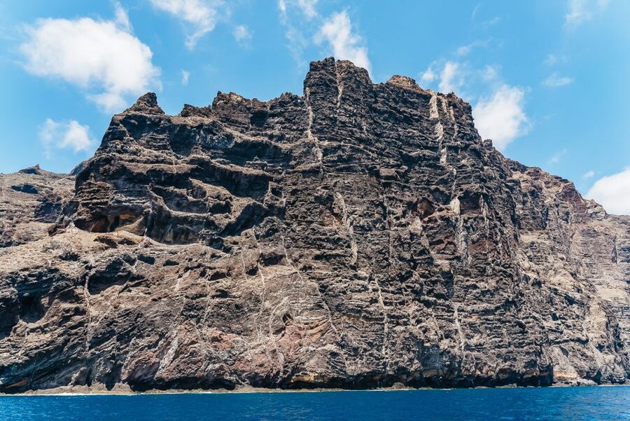 Costa Adeje: Masca and Los Gigantes Whale Watching Cruise - Should you book the Freebird cruise?