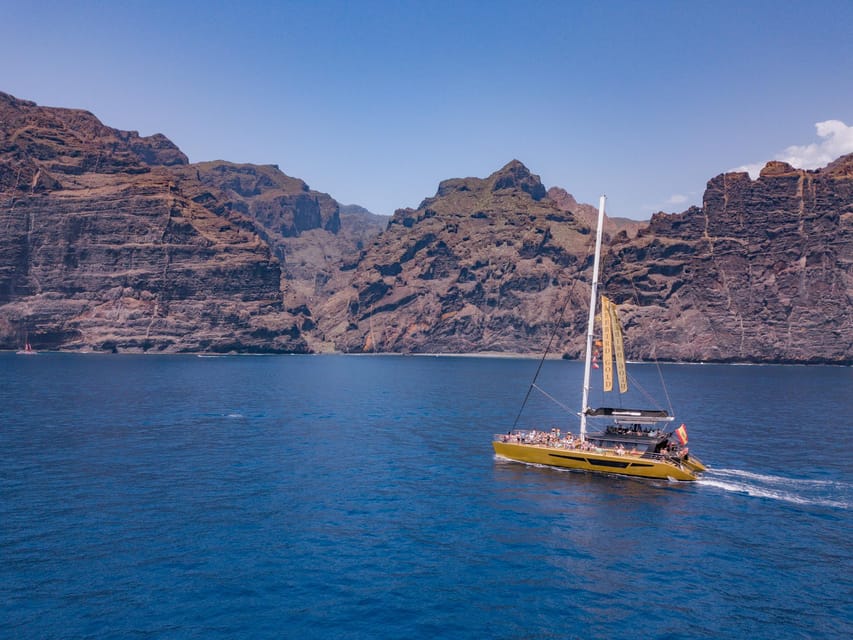 Costa Adeje: Masca and Los Gigantes Whale Watching Cruise - From Puerto Colón to open water