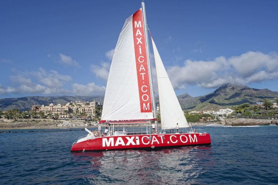 Costa Adeje: Whale and Dolphin Cruise with Food and Pickup - Watching pilot whales along Tenerife’s south coast