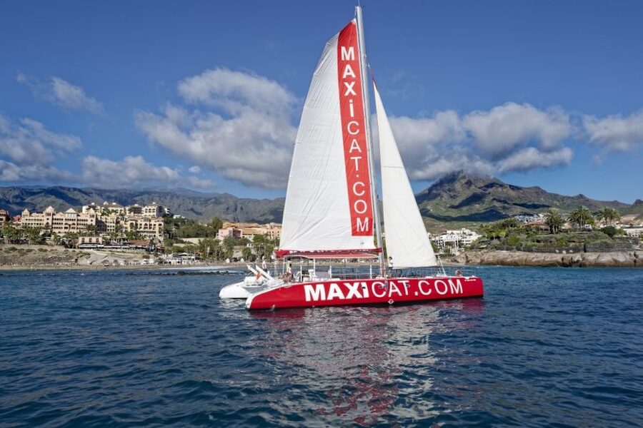 Costa Adeje: Whale and Dolphin Cruise with Food and Pickup - Coastal views with Teide in the distance