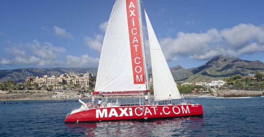 Costa Adeje: Whale and Dolphin Cruise with Food and Pickup - Diego Hernandez Bay for swimming and small fish