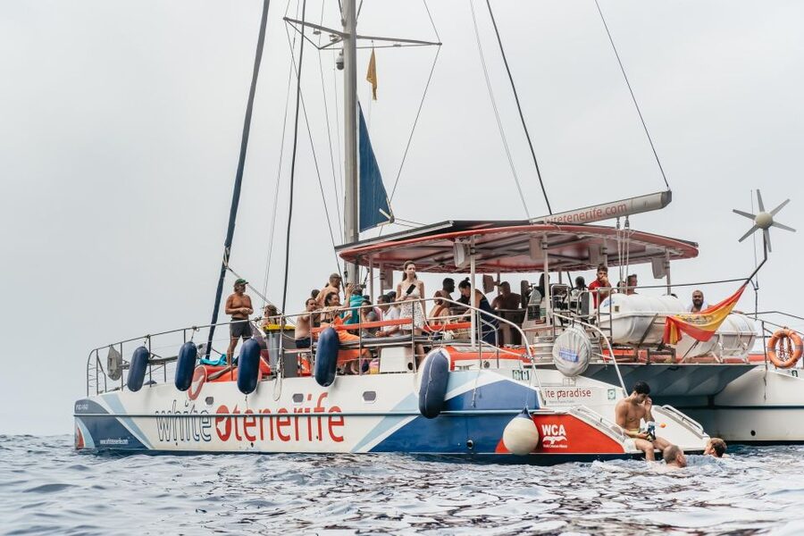 Costa Adeje: Whale & Dolphin Eco-Cruise with Snacks & Drinks - Setting out from Puerto Colón