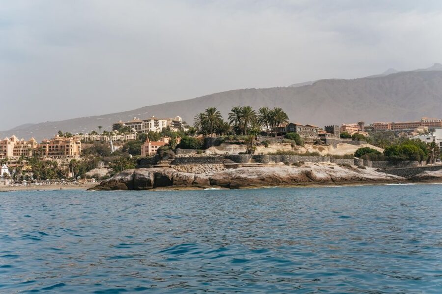 Costa Adeje: Whale & Dolphin Eco-Cruise with Snacks & Drinks - The five-hour option and Los Gigantes