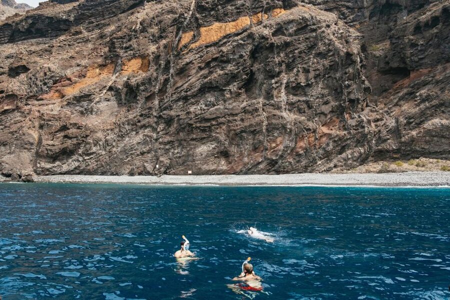 Costa Adeje: Whale & Dolphin Eco-Cruise with Snacks & Drinks - Whale watching in the Teno-Rasca sanctuary