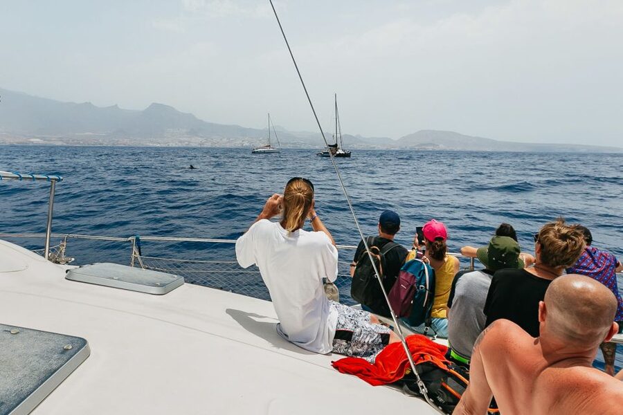 Costa Adeje: Whale Watching Catamaran Tour with Drinks - Who should choose this tour