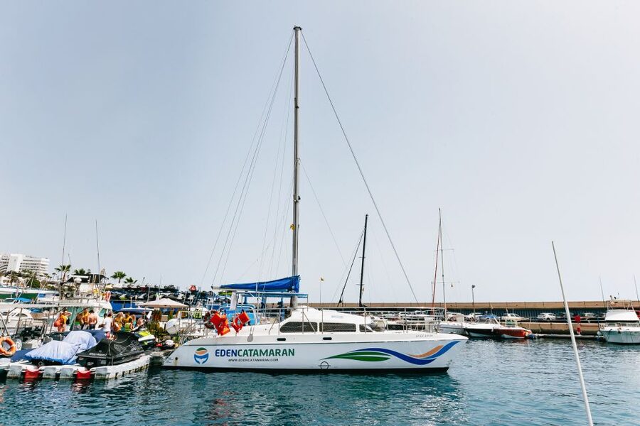 Costa Adeje: Whale Watching Catamaran Tour with Drinks - Drinks, sandwiches, and the value of $41