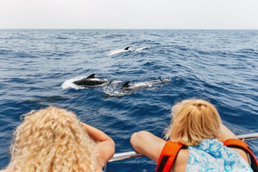Costa Adeje: Whale Watching Catamaran Tour with Drinks - Leaving Puerto Colon on a 50-person catamaran