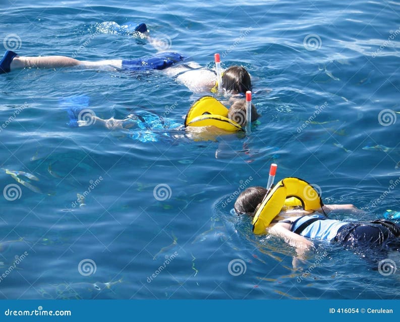 Crete: Snorkeling Boat Trip with Lunch and Transfer - The Main Snorkeling Stop Near Saint George Bay