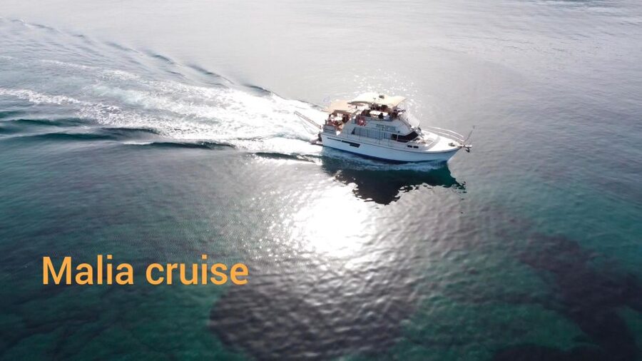 Crete: Snorkeling Boat Trip with Lunch and Transfer - Who Should Book This Malia Boat Trip?