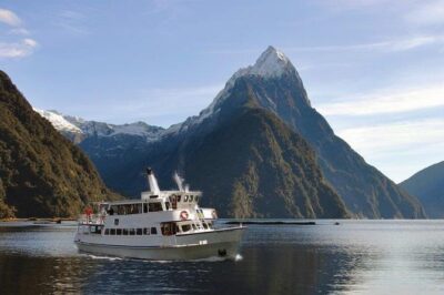 Cruise Milford NZ Small Boutique Cruise Experience