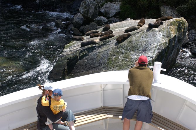 Cruise Milford NZ Small Boutique Cruise Experience - Tea, biscuits, and what to bring