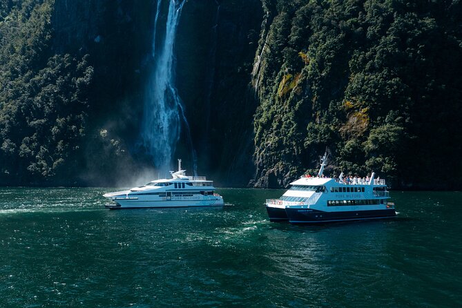 Cruise Milford NZ Small Boutique Cruise Experience - Who should choose this cruise?