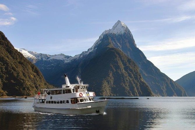 Cruise Milford NZ Small Boutique Cruise Experience - Seals, dolphins, and the chance of penguins