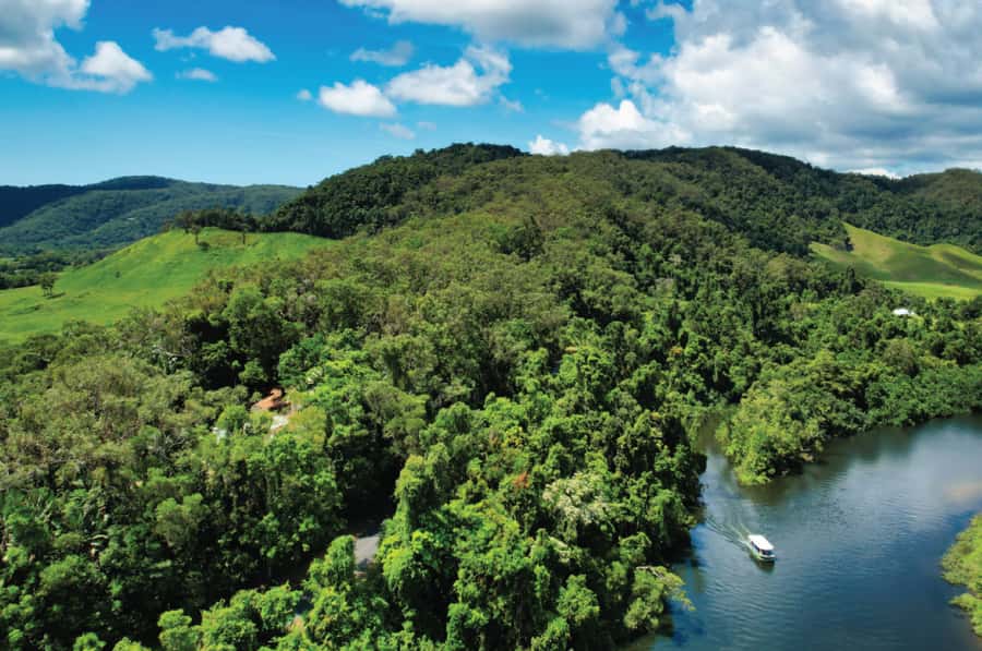 Daintree: River Rainforest Crocodile & Wildlife Cruise (DV) - Key points to know before you go