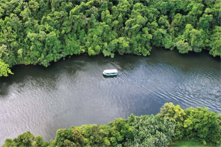 Daintree: River Rainforest Crocodile & Wildlife Cruise (DV) - Weather, seating, and what the hour feels like