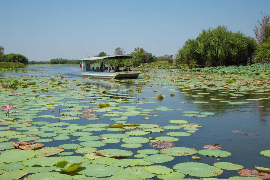 Darwin: Mary River Wetlands Wildlife Cruise with Lunch - Why the Mary River wetlands make a good Darwin day trip