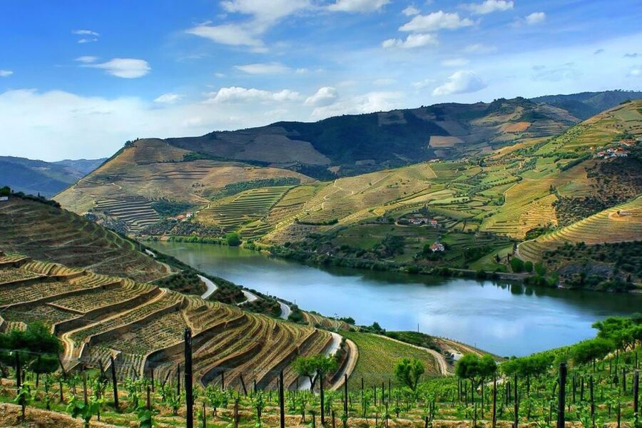 Day Cruise from Porto to Pinhão with Breakfast and Lunch - The first locks and the changing Douro