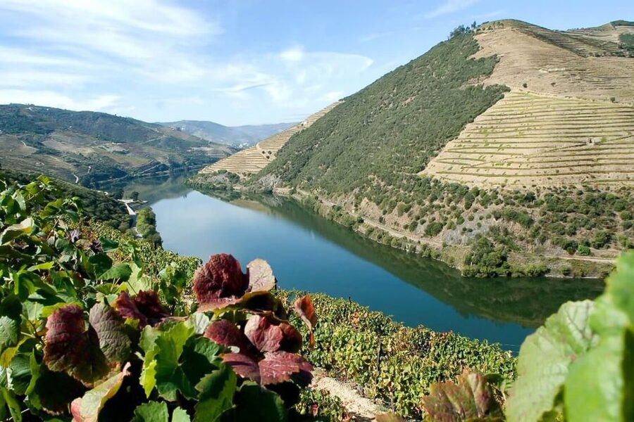 Day Cruise from Porto to Pinhão with Breakfast and Lunch - Régua, the Douro wine center