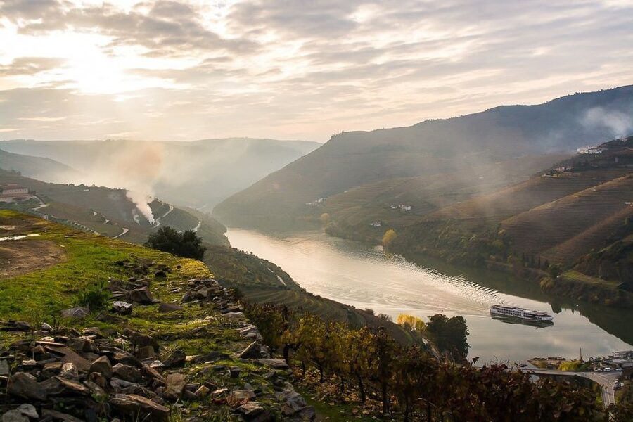 Day Cruise from Porto to Pinhão with Breakfast and Lunch - Who will enjoy this day most