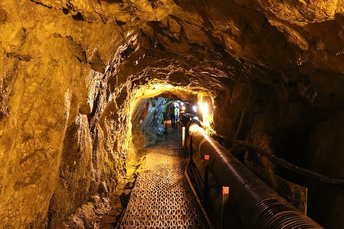DMZ Tour: 3rd Tunnel, Option(Suspension Bridge, Boat) from Seoul - Key things to know before you book