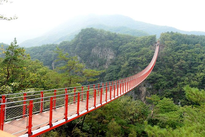 DMZ Tour: 3rd Tunnel, Option(Suspension Bridge, Boat) from Seoul - Tongilchon, a civilian village near the border