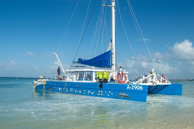 Dolphin Catamaran Snorkel and Sail with Open Bar - The rope swing and spinning water slide