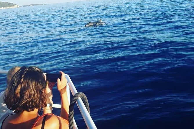 Dolphin Watching & Sunset Boat Tour With Dinner and Drinks - Fort Brioni Minor and the Ulysses theater