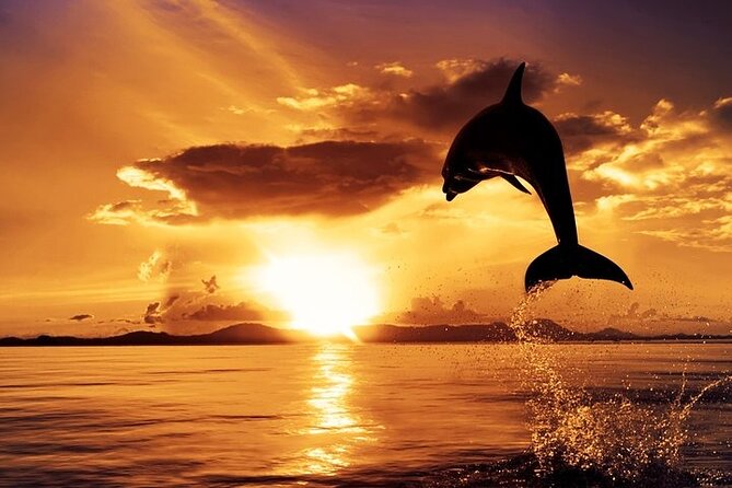Dolphin Watching & Sunset Boat Tour With Dinner and Drinks - Pula Bay and its old naval defenses