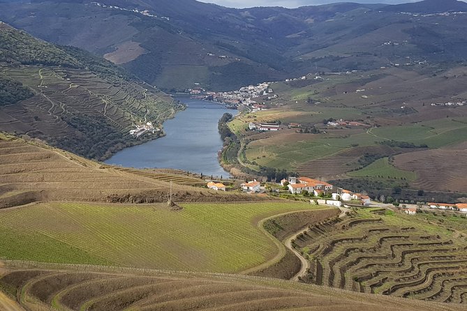 Douro Valley Tour: 2 Vineyard Visits, River Cruise, Winery Lunch - Key points to know before you book