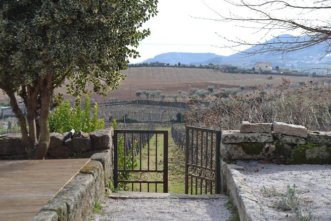 Douro Valley Tour: 2 Vineyard Visits, River Cruise, Winery Lunch - Pinhão and the Rabelo boat ride