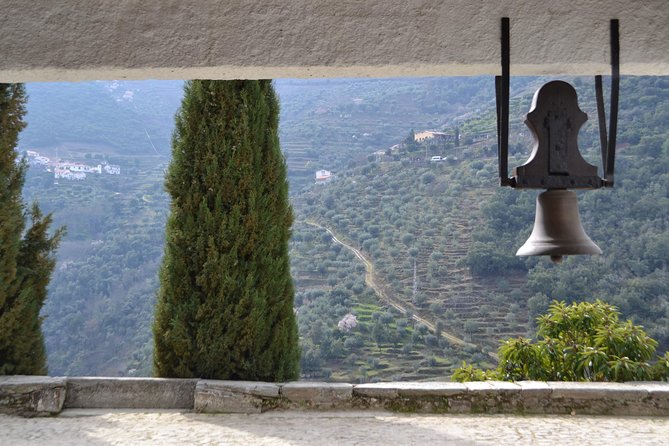 Douro Valley Tour: 2 Vineyard Visits, River Cruise, Winery Lunch - Cellar tasting and the difference between the two wineries