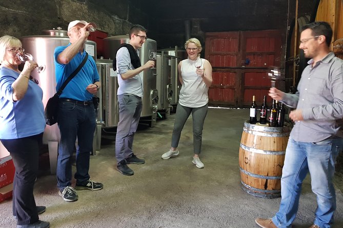 Douro Valley Tour: 2 Vineyard Visits, River Cruise, Winery Lunch - First winery in the Lamego area