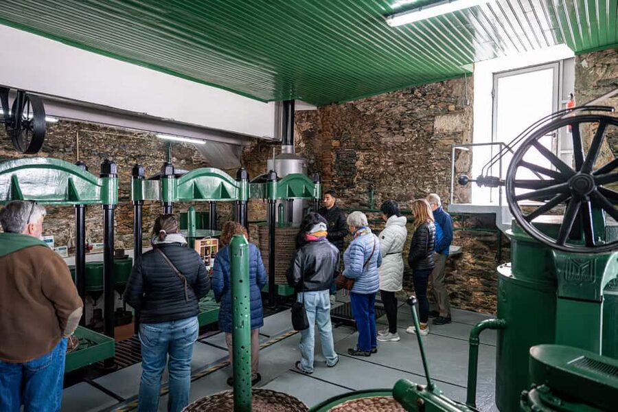Douro Valley Tour: Visit 2 Wineries, Lunch & River Cruise - Who should book this day?