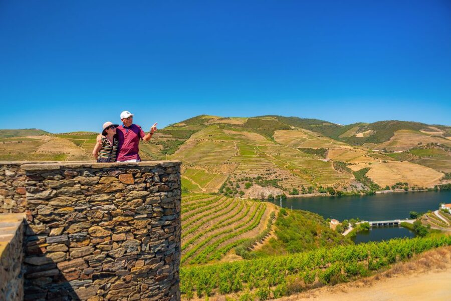 Douro Valley Tour: Visit 2 Wineries, Lunch & River Cruise - The N222 back to Porto