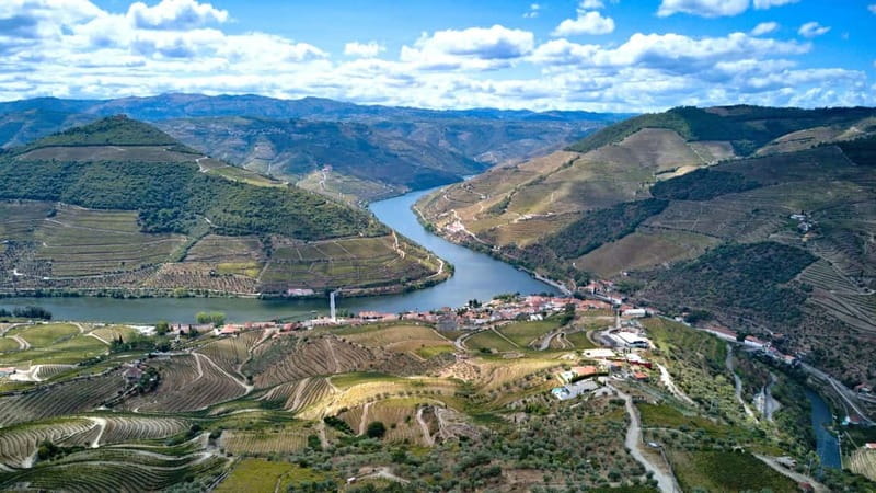 Douro Valley Tour: Visit 2 Wineries, Lunch & River Cruise - What the guide adds to the day