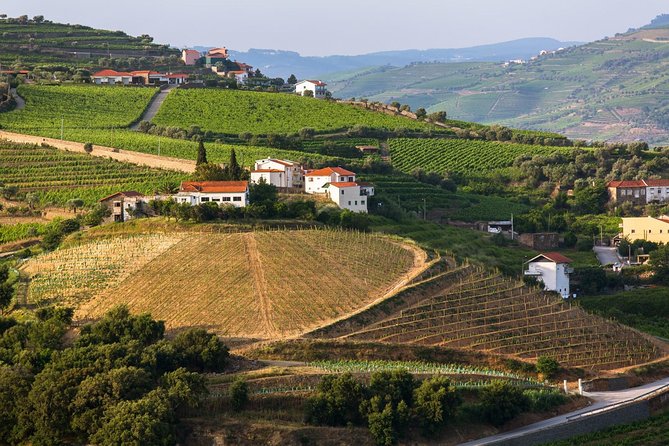 Douro Valley Tour: Wine Tasting, Cruise and Lunch from Porto - Santa Marta de Penaguião and the second tasting