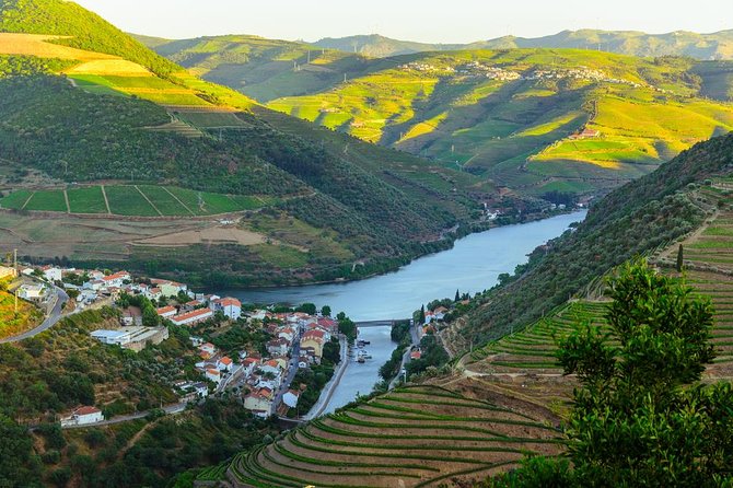 Douro Valley Tour: Wine Tasting, Cruise and Lunch from Porto - Viewpoints and the ride back to Porto