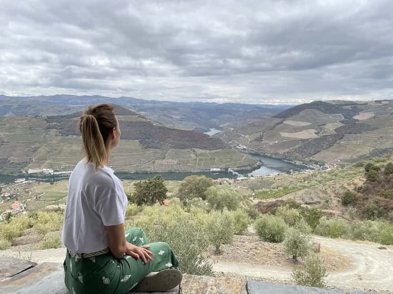 Douro Valley: Tour with Wine Tastings, Lunch, and Boat Ride - Should you book it?