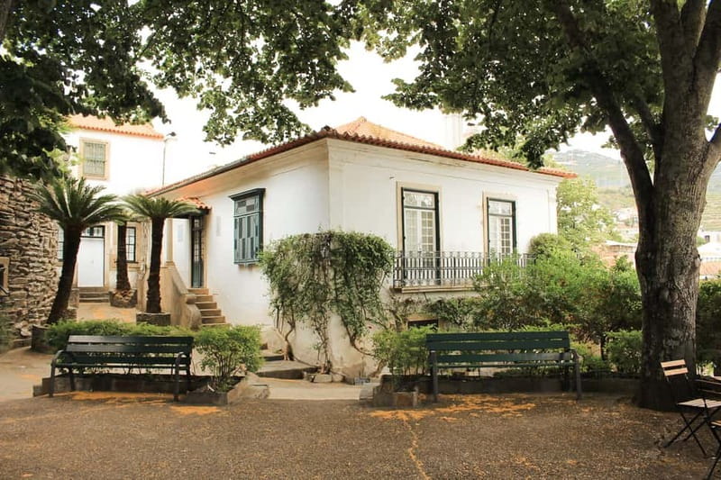 Douro Valley: Tour with Wine Tastings, Lunch, and Boat Ride - The second estate: table wine, olive oil, and honey