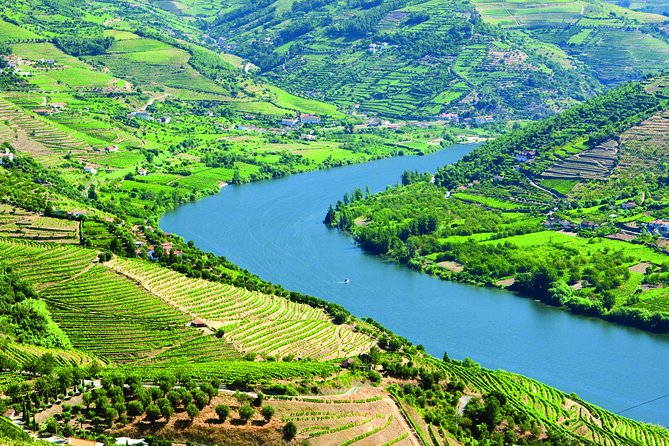 Douro Valley with Two Winery, Boat Trip and Lunch From Porto - Why this Douro Valley day trip works