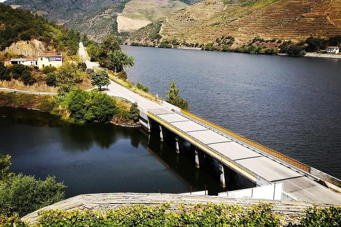 Douro Valley with Two Winery, Boat Trip and Lunch From Porto - The first winery and the world of Port