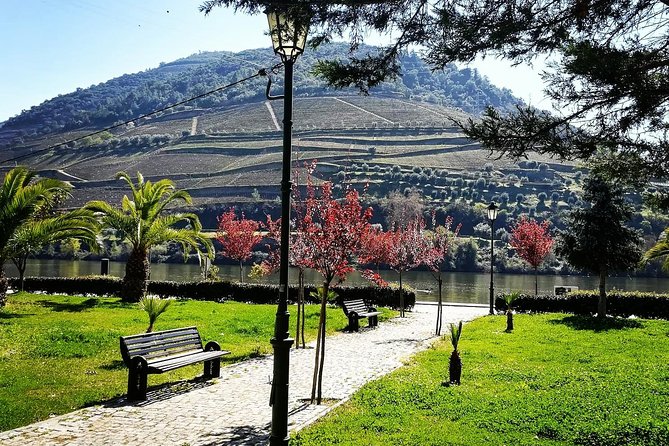Douro Valley with Two Winery, Boat Trip and Lunch From Porto - Lunch in Tabuaço, with time to sit down