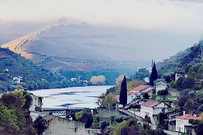 Douro Valley with Two Winery, Boat Trip and Lunch From Porto - The small producer near Pinhão