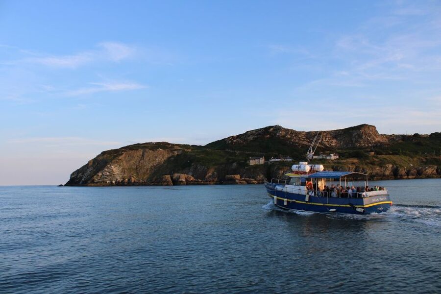 Dublin: Howth Cliffs and Lighthouse Cruise - Key points at a glance